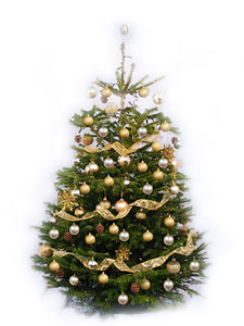 You will see Christmas trees and staff wearing festive hats and the like, which is great as it really helps remind you it is Christmas in the absence of the cold!