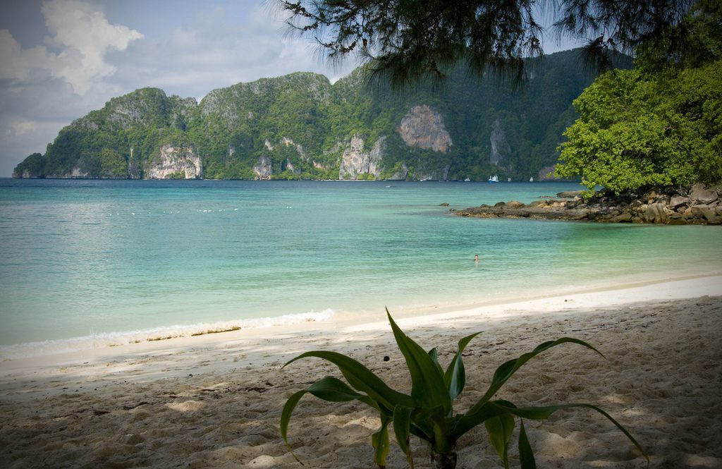 phi-phi-don