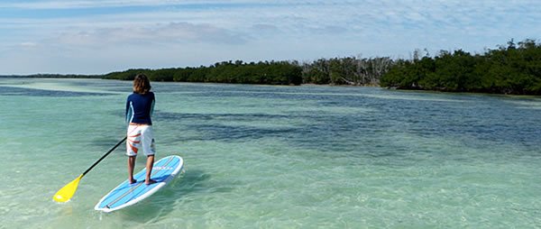 sup - water sport in Phuket