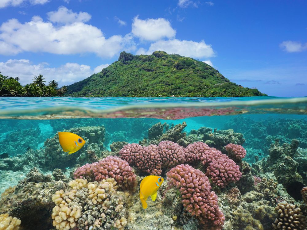 French Polynesia