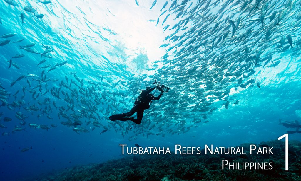 Tubbataha Reefs Natural Park, Philippines