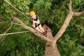 Phuket Flying Hanuman