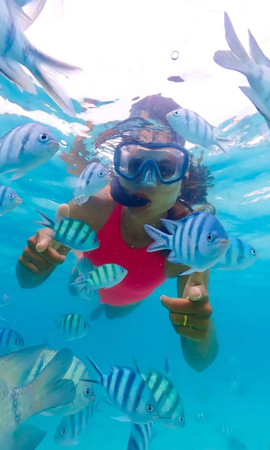 DAY 5 - Koh Rin to the Samaesan Islands