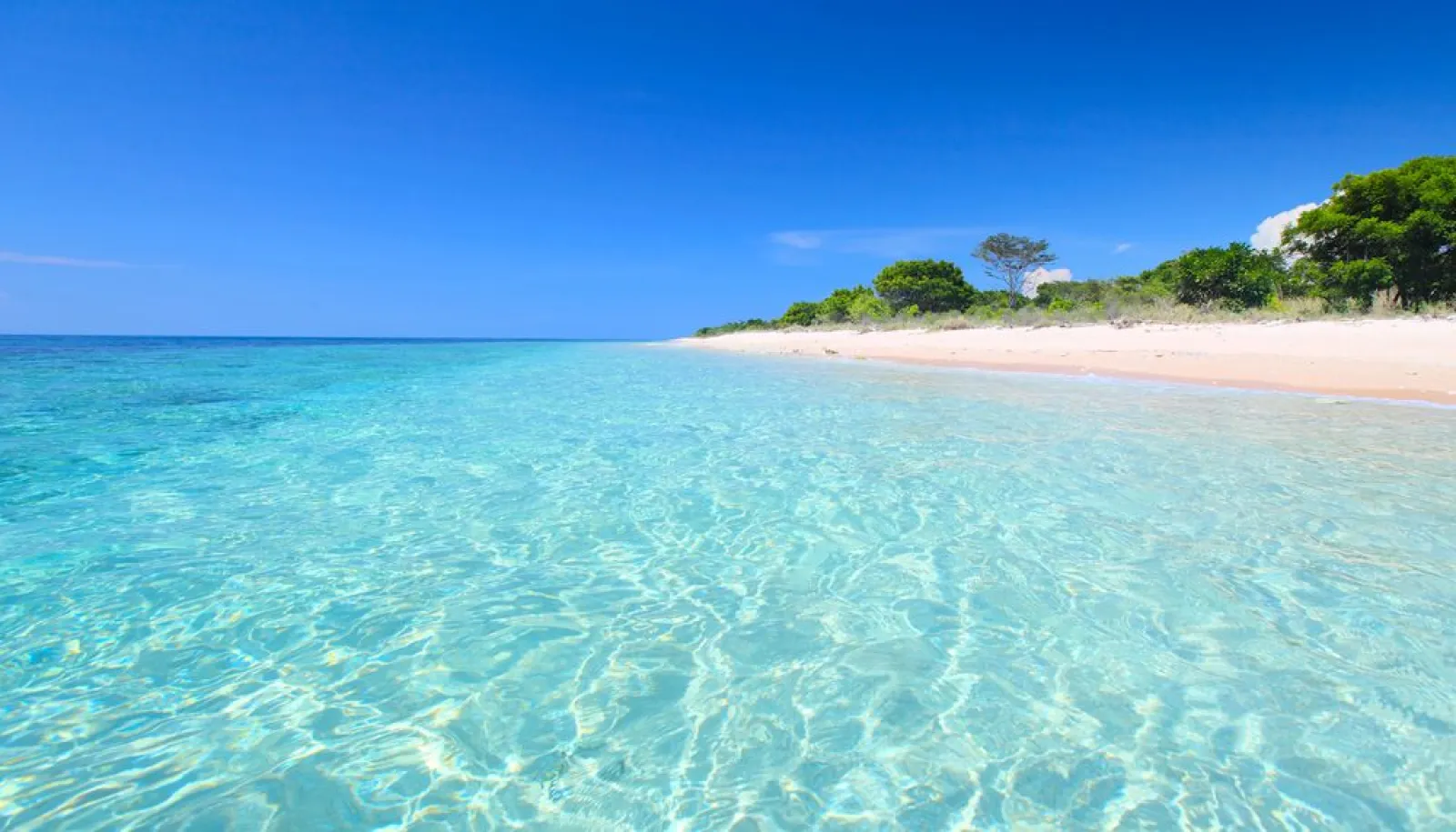 Bali & Komodo, 10 Days