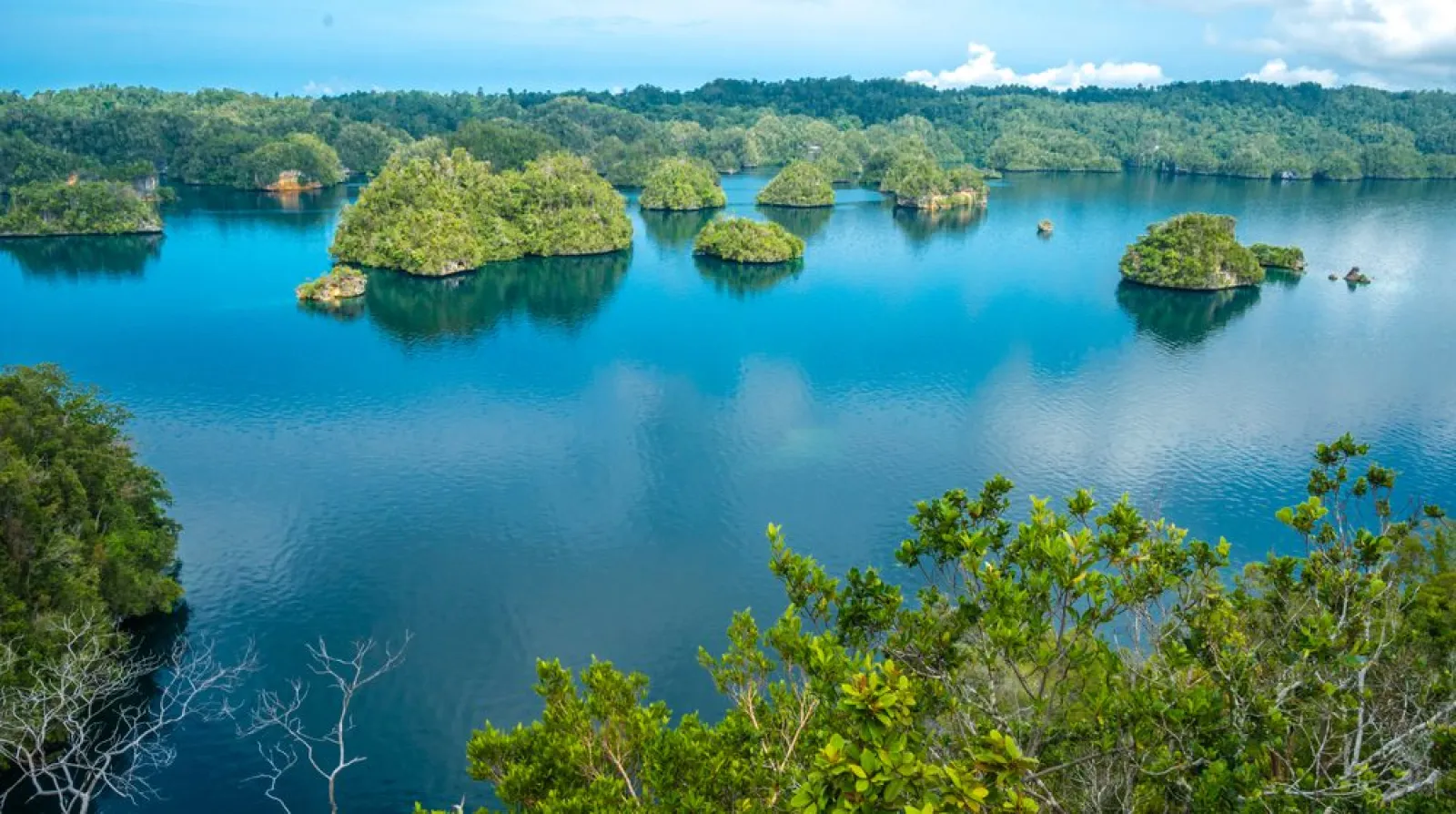 Ternate to Halmahera, Raja Ampat, Sorong, 12 Days