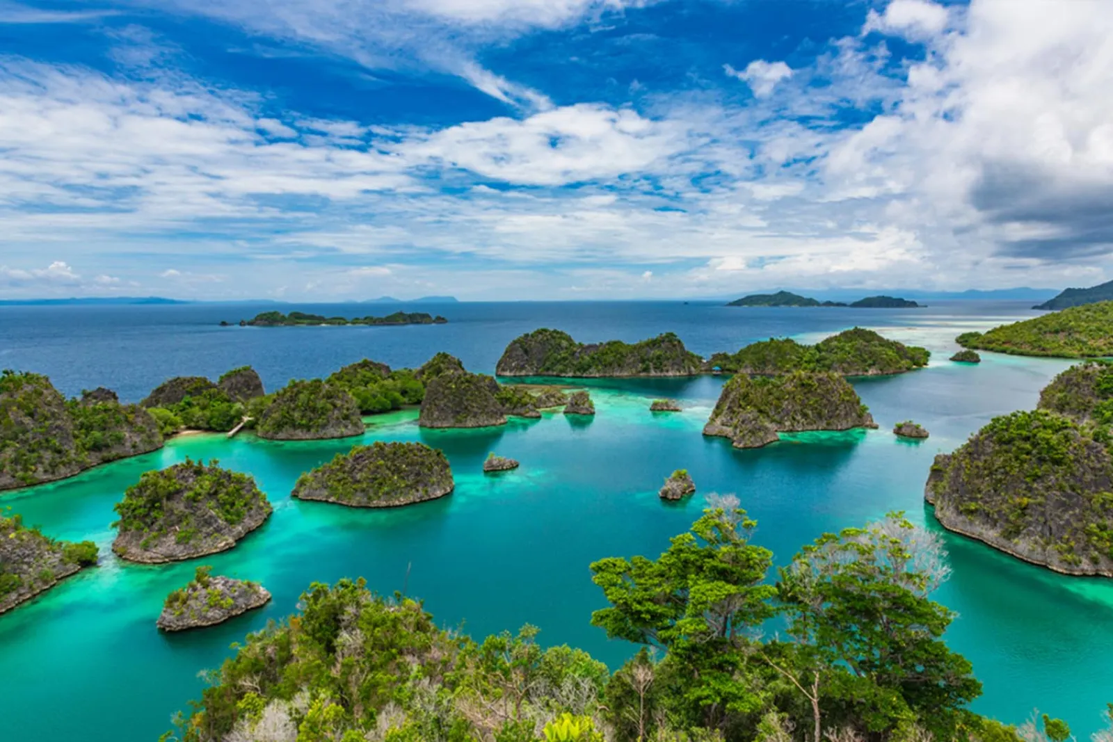 Explore Indonesia’s Most Coveted Yachts Available for Charter in Komodo and Raja Ampat