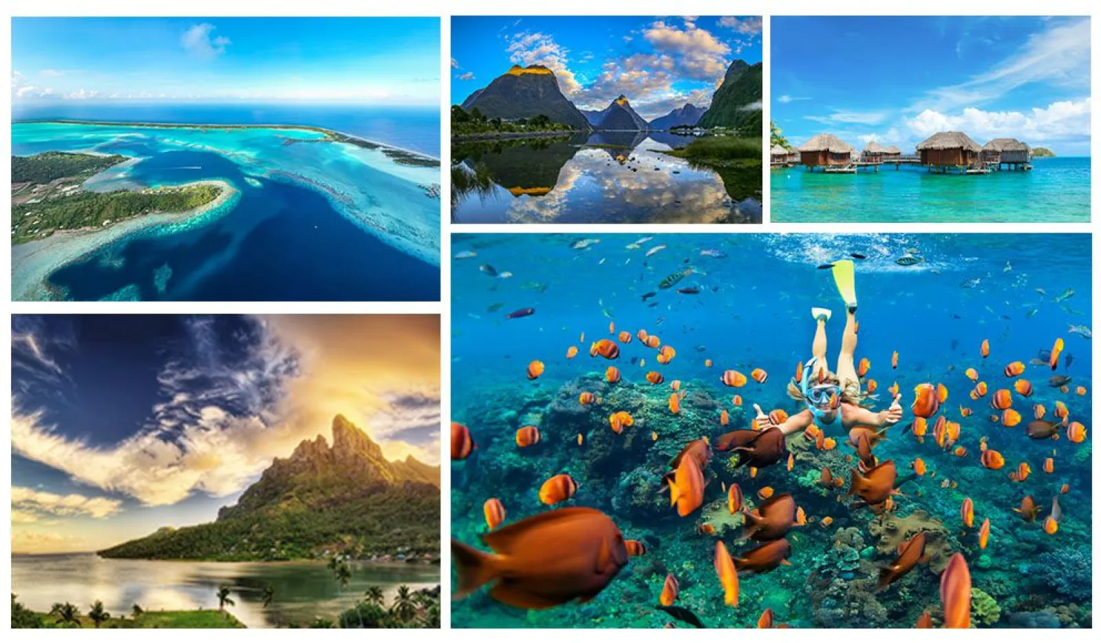 Explore South Pacific on a Superyacht Charter with Special Price Deals
