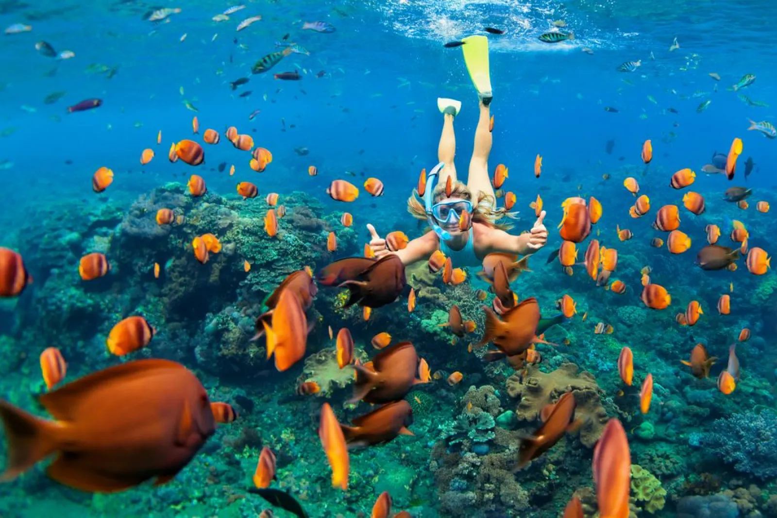 Special Price Deals on Superyacht Charters in Thailand and Maldives until April, Enquire now!