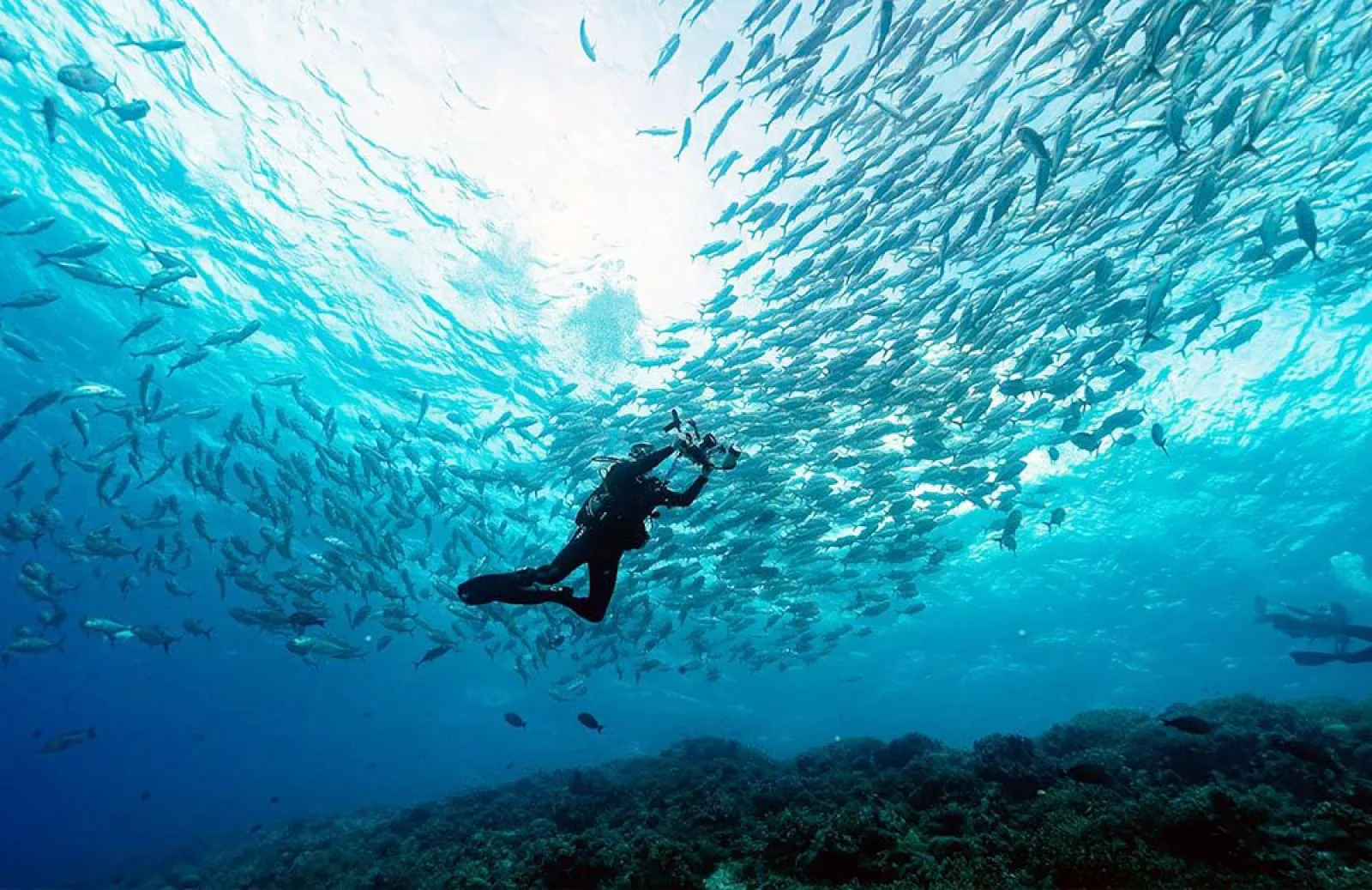 The 10 best diving spots in Asia - plan your expeditions today