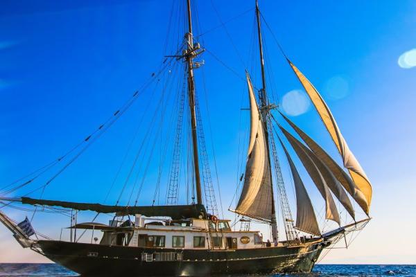 Arktos photo 2