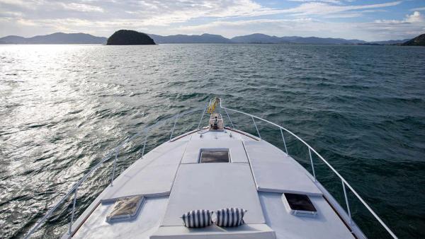 Bertram 50 photo 3