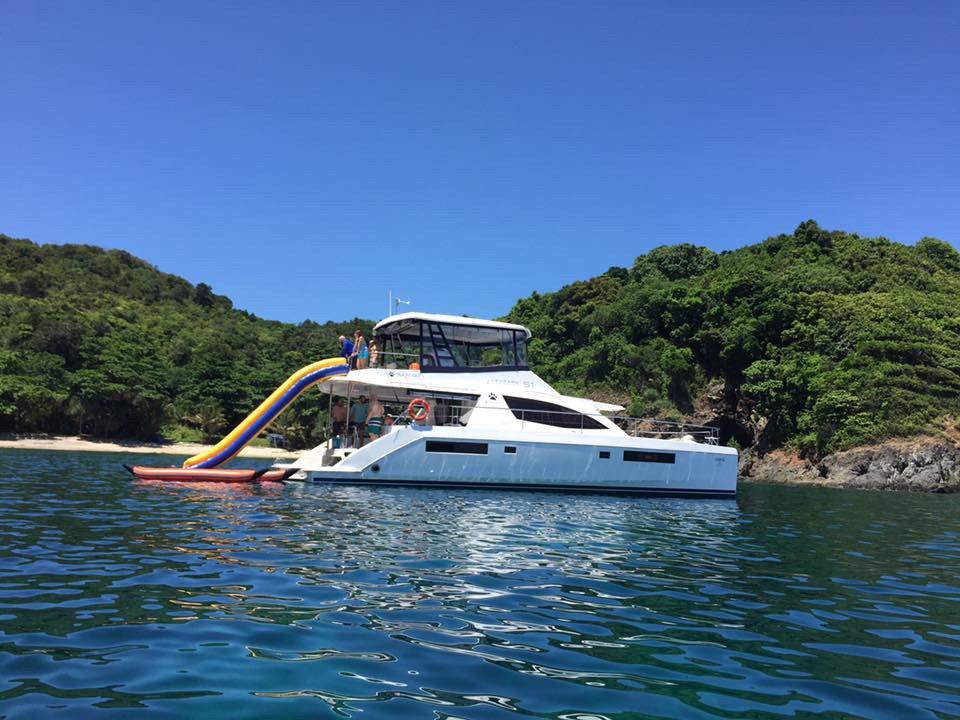 Leopard 51