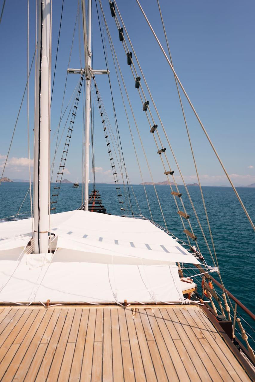 Nayara Cruise