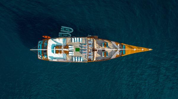 The Maj Oceanic photo 3