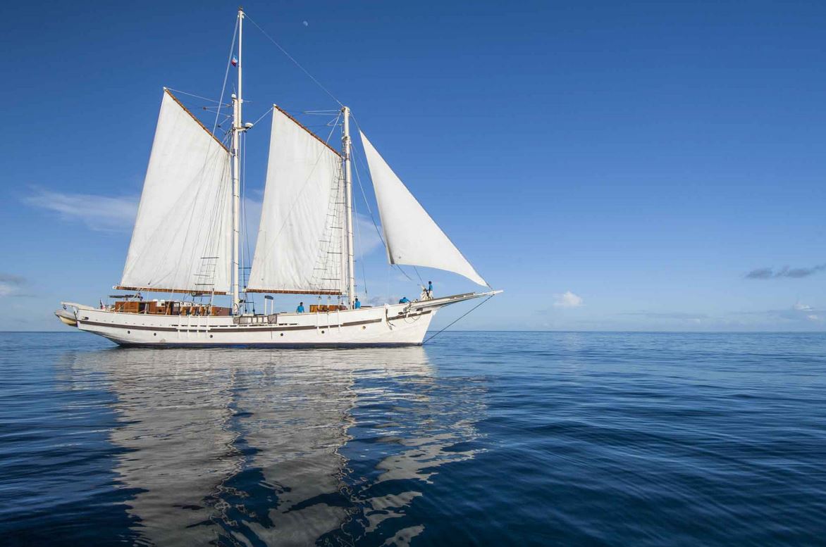 Simpson Marine - Raja Laut